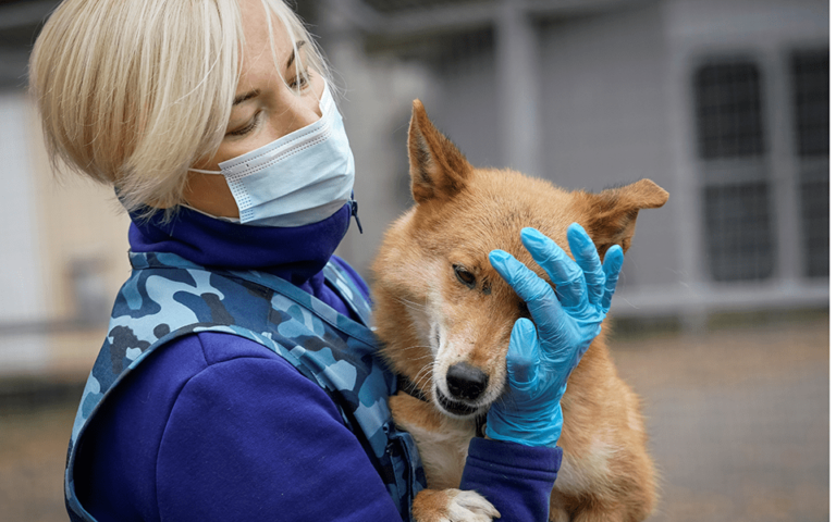 2020-10-09T173221Z_123582614_RC25FJ9IQC3M_RTRMADP_3_HEALTH-CORONAVIRUS-RUSSIA-DOGS