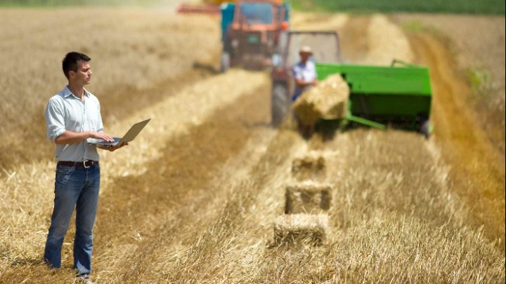w30-131513farmerwithlaptopinfield1