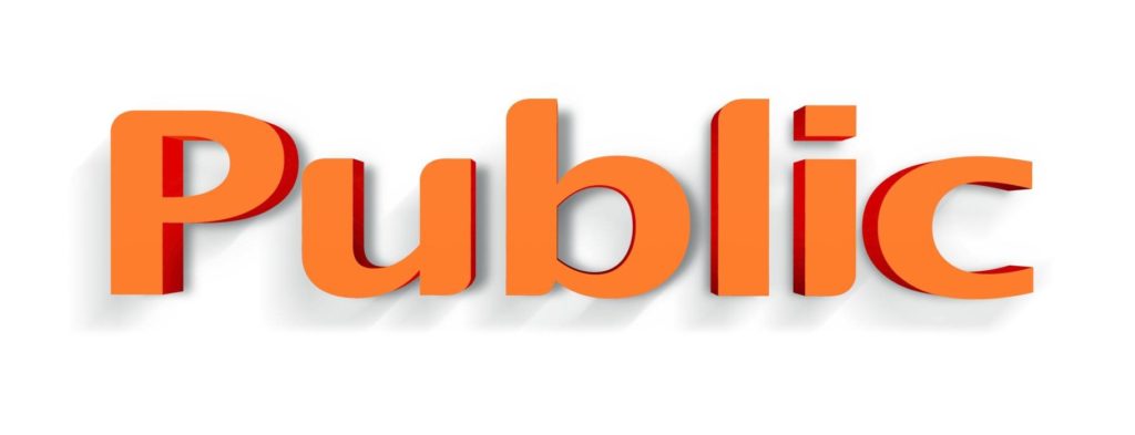 public-logo