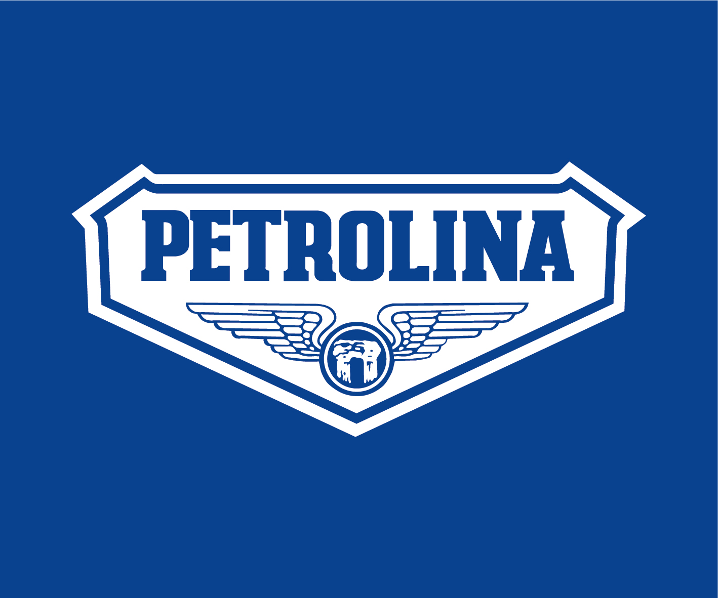 Petrolina logo border background RGB[10]