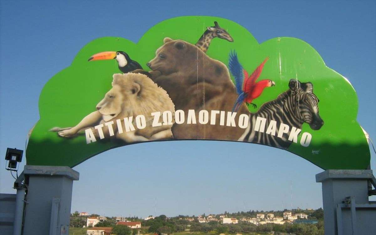 Αττικό Ζωολογικό πάρκο: Αναζητούνται πόροι για να ανταπεξέλθει οικονομικά