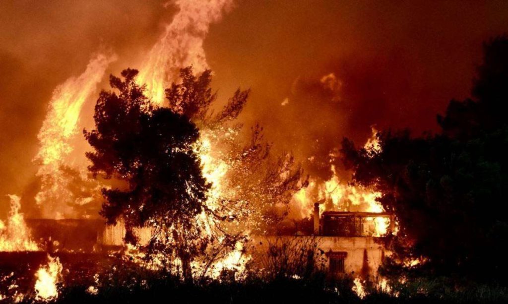 Μάτι: Ευθύνες στην πυροσβεστική ρίχνουν οι μάρτυρες