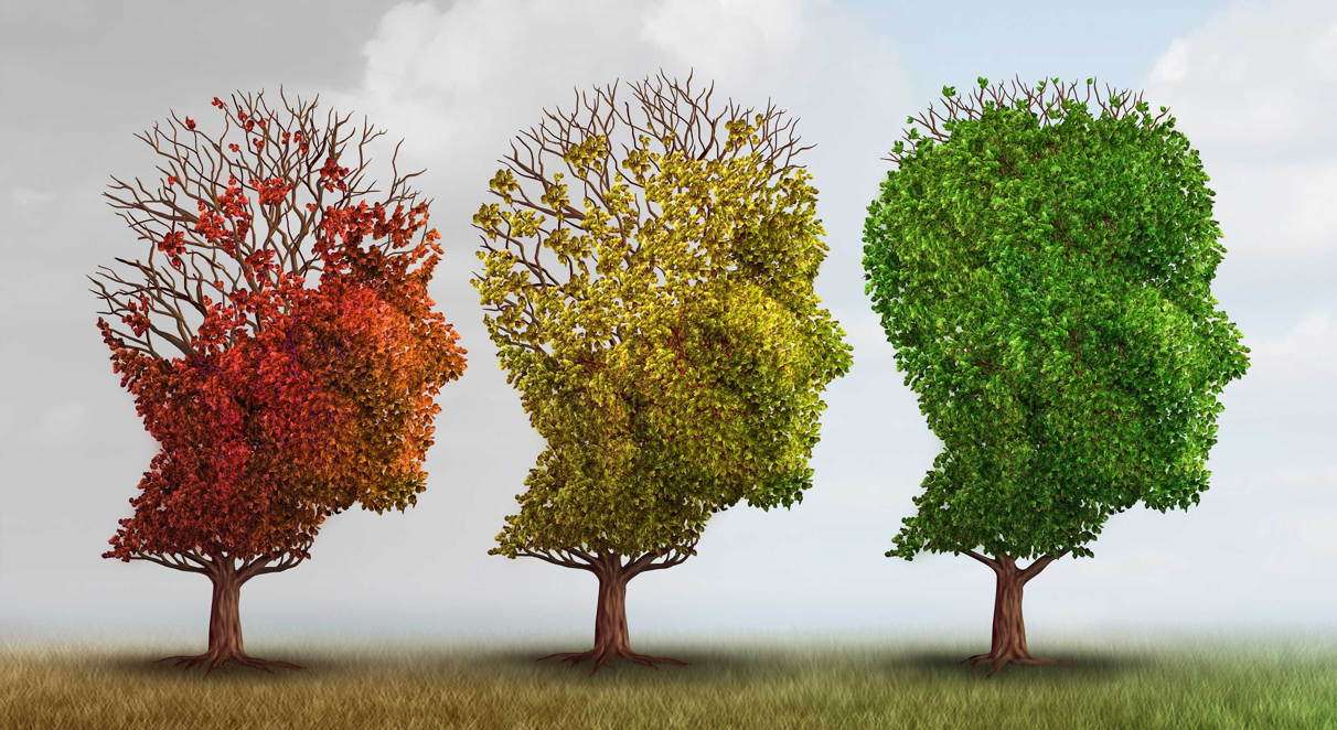 Alzheimer: Ελπιδοφόρο φάρμακο από φύκια