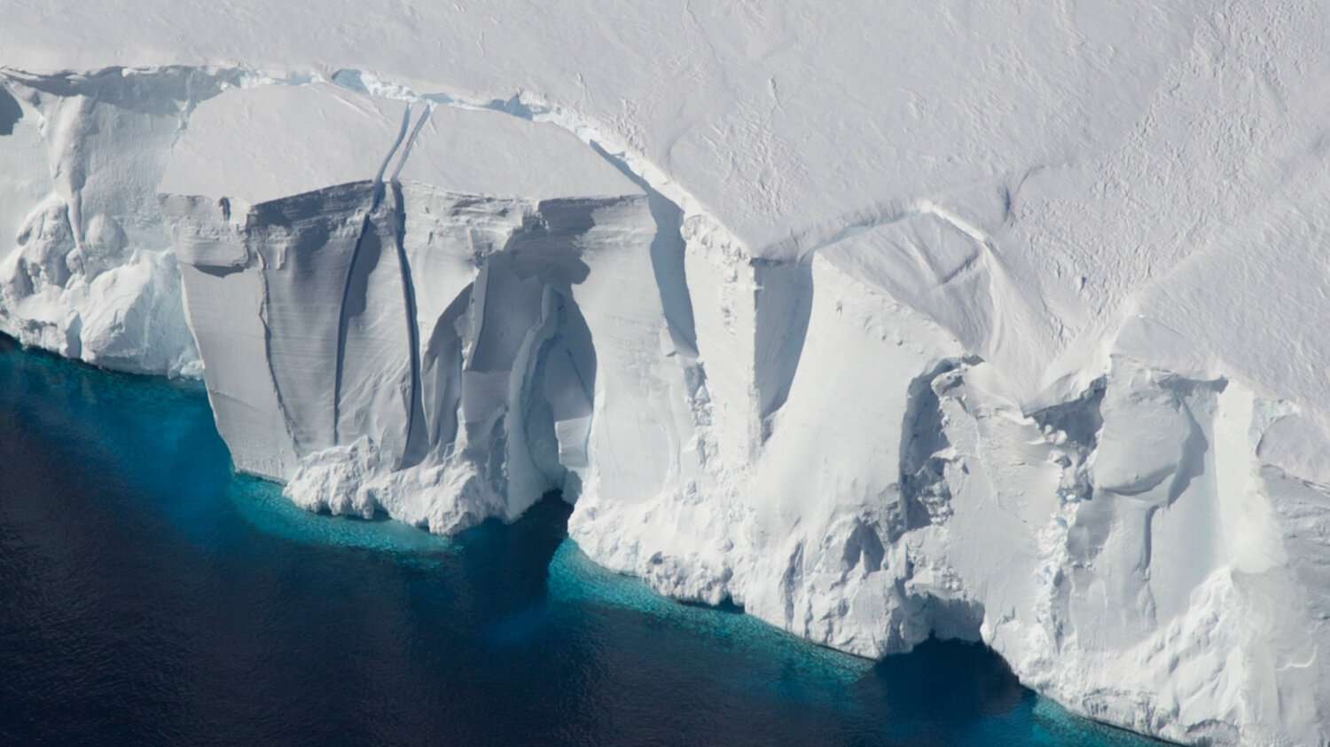 Παράξενα πλάσματα ανακαλύφθηκαν κάτω από τους θαλάσσιους πάγους της Ανταρκτικής