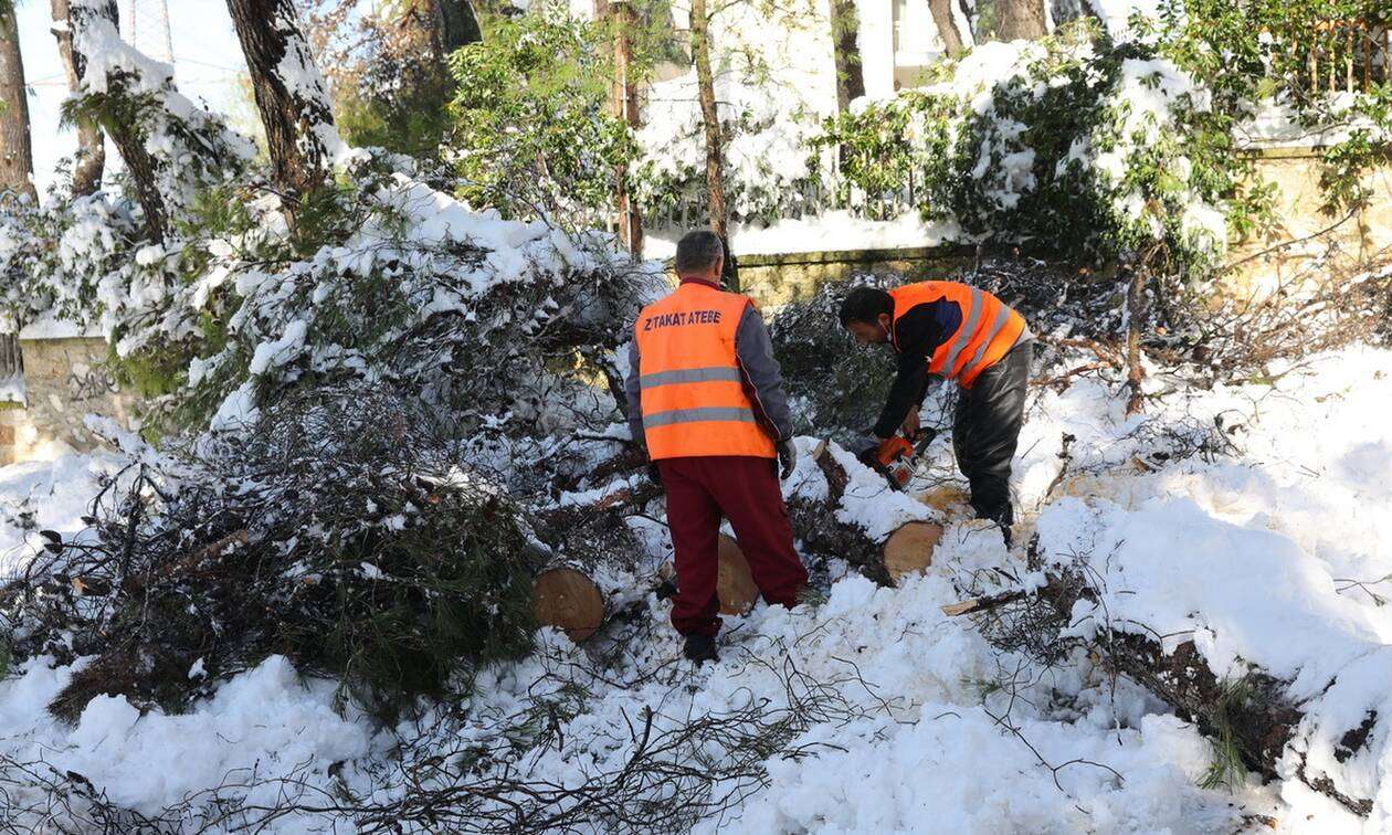 Απολογισμός ΔΕΔΔΗΕ: 100.000 νοικοκυριά σε όλη τη χώρα έπληξε η κακοκαιρία