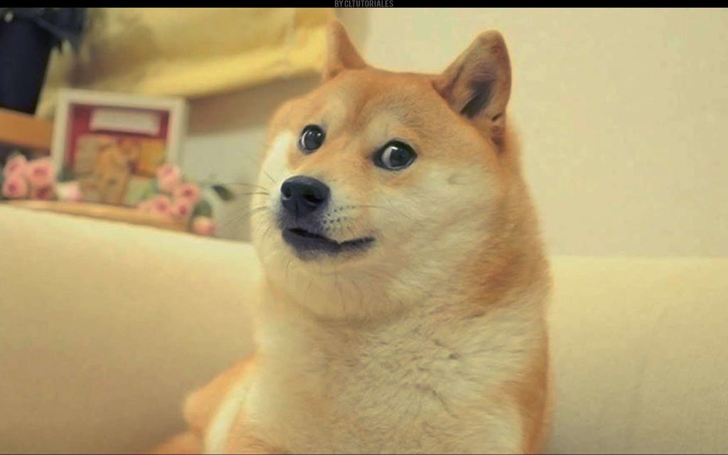 Το φαινόμενο DOGE