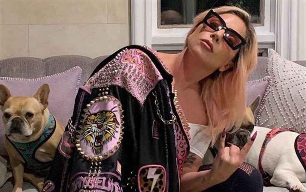 Lady Gaga: Άγνωστοι έκλεψαν τα δύο γαλλικά bulldogs της