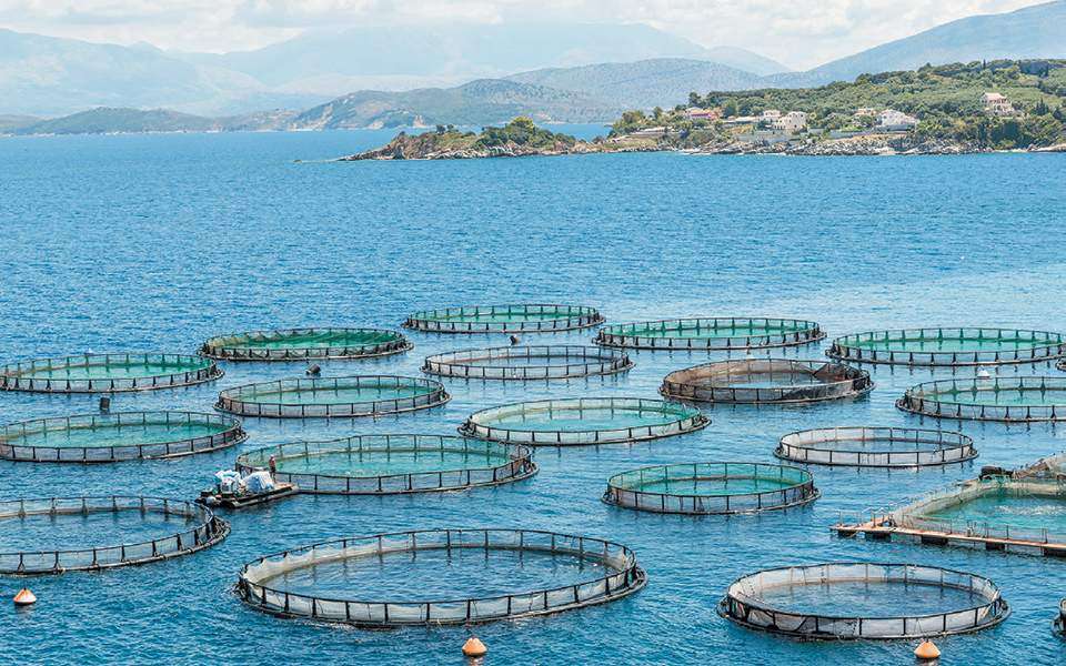Διακρατική διάσκεψη για τη θαλάσσια οικονομία και το περιβάλλον