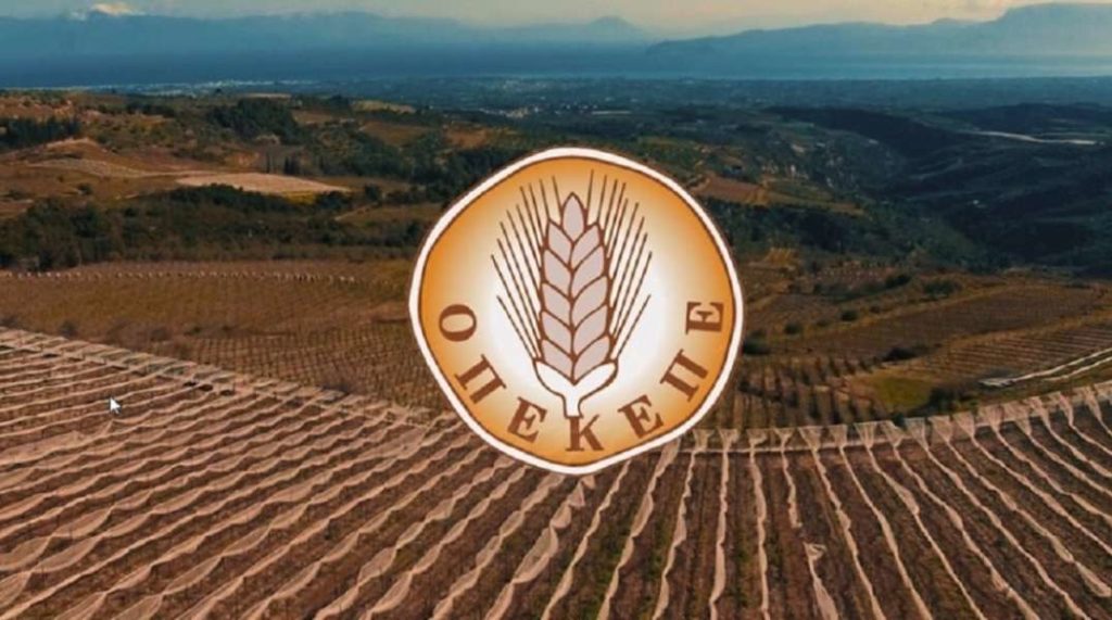 Διόρισαν πρόεδρο στον ΟΠΕΚΕΠΕ καταπατώντας το νόμο;