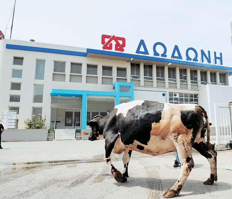 Έκλεισε το ντηλ: Στο CVC η Δωδώνη αντί 100 εκατ. ευρώ!