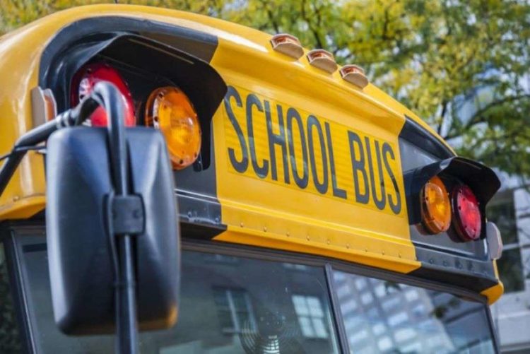 ΗΠΑ: Ελάφι διέσχισε παρμπρίζ σχολικού λεωφορείου και κατέληξε πάνω σε μαθητή (Video)