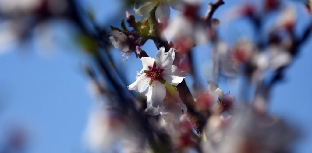 Αναλυτικά η πρόγνωση του αυριανού καιρού