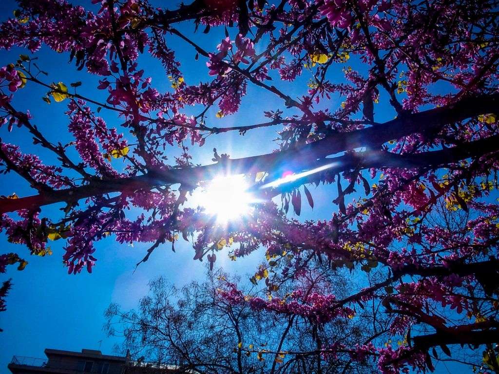 Καιρός : Αίθριος με τον υδράργυρο να φτάνει τους 21 βαθμούς