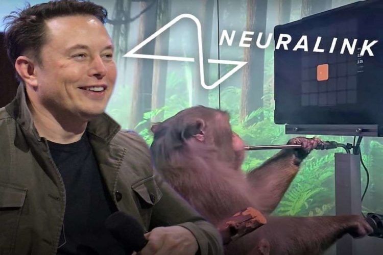 Η Neuralink του Μασκ παρουσίασε μαϊμού να παίζει βιντεοπαιχνίδι μέσω του νου της