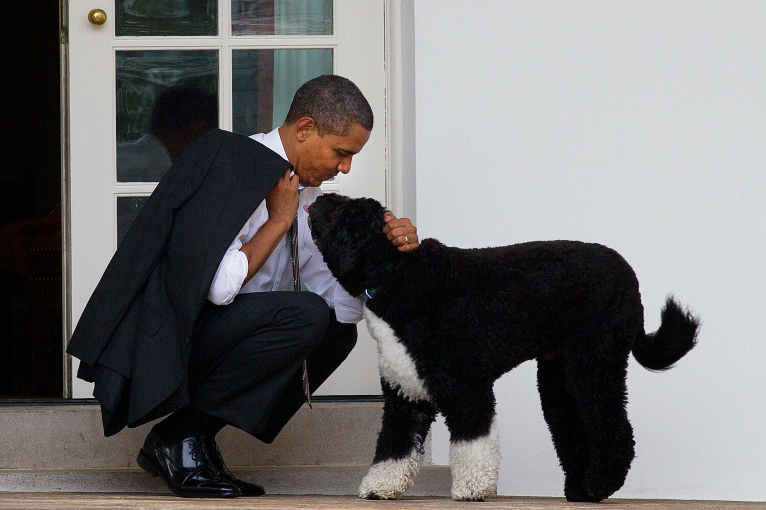 ΗΠΑ: Έφυγε από τη ζωή ο Μπο, ο σκύλος του Μπαράκ Ομπάμα