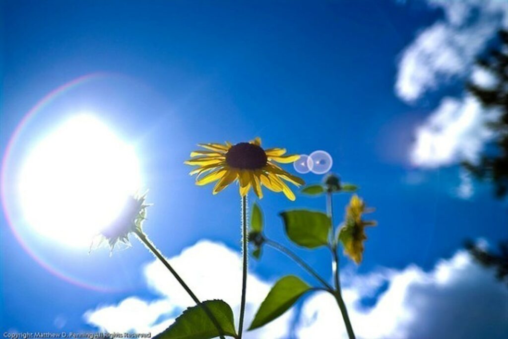 Καιρός: Ηλιοφάνεια σε όλη την χώρα την τρίτη