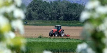 Πληρωμές 6,4 εκατ. ευρώ σε δικαιούχους παραγωγούς, των οποίων οι καλλιέργειες επλήγησαν από παγετό