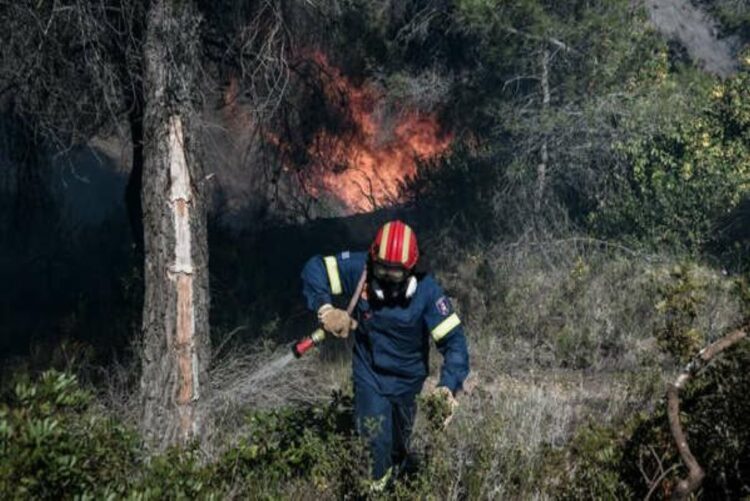 Φωτιά στον Σχίνο: Συνεχίζεται η μάχη της Πυροσβεστικής στα Γεράνεια Όρη
