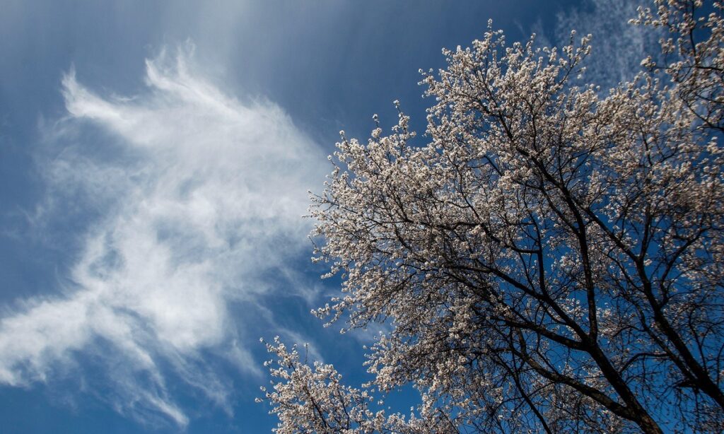 Καιρός: Η πρόγνωση για τη Δευτέρα