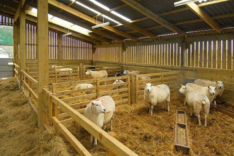 Διευκολύνεις για την ίδρυση και τη λειτουργία των κτηνοτροφικών εγκαταστάσεων