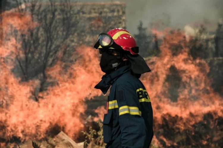 Μεγάλη πυρκαγιά σε δάσος στη Σμέρνα Ηλείας (Video)