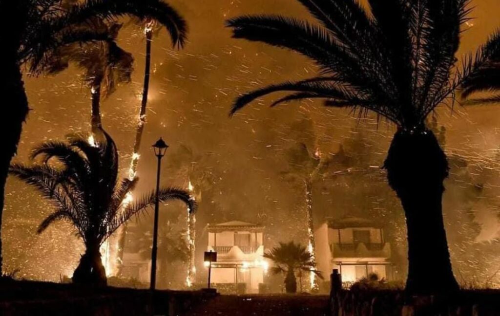 Ευθύμης Λέκκας: Τεράστιες επιπτώσεις στο περιβάλλον από την πυρκαγιά στον Σχίνο