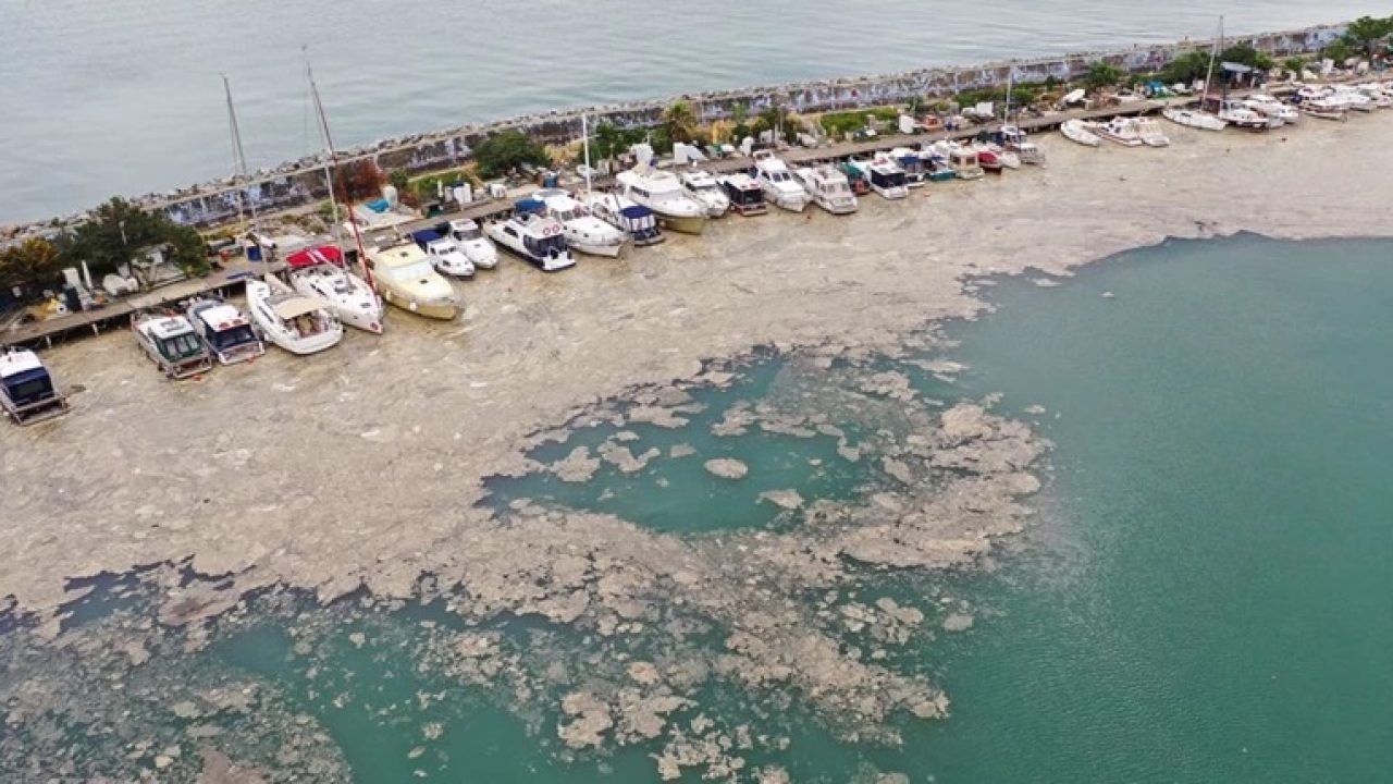 Τουρκία: Ο υπουργός Περιβάλλοντος δεσμεύτηκε να καθαρίσει την Θάλασσα του Μαρμαρά