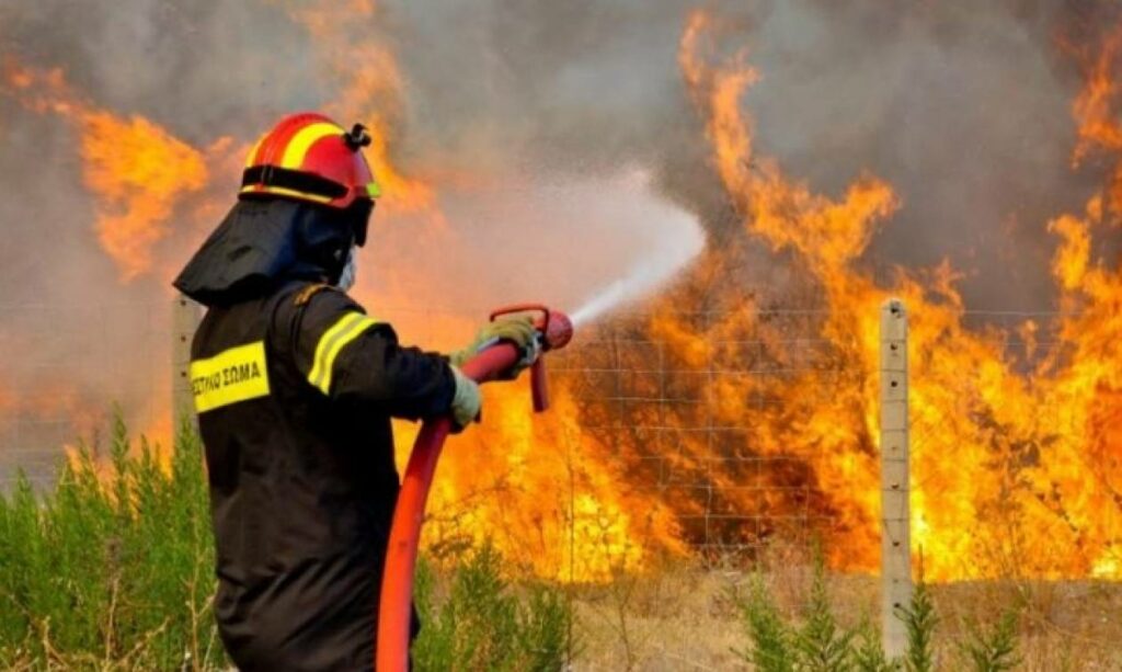 Χαρδαλιάς για φωτιές: Δύσκολη μάχη σε 51 μέτωπα, με 8 μποφόρ