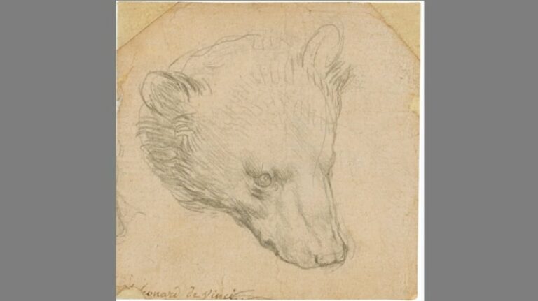 Ντα Βίντσι: Στο σφυρί σχέδιό του που αναμένεται ότι θα πουληθεί για $15,6 εκατομμύρια