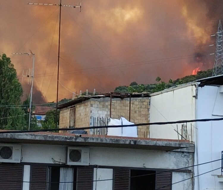 Πύρινη κόλαση στην Αχαΐα: Κάηκαν σπίτια - Κλειστή η γέφυρα Ρίου - Αντιρρίου - Εκκενώθηκε κατασκήνωση