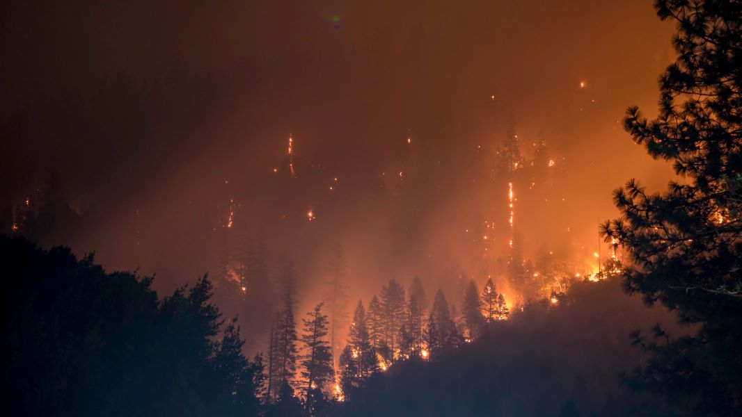 Κρήτη: Μεγάλη φωτιά τώρα σε δάσος στο Λασίθι