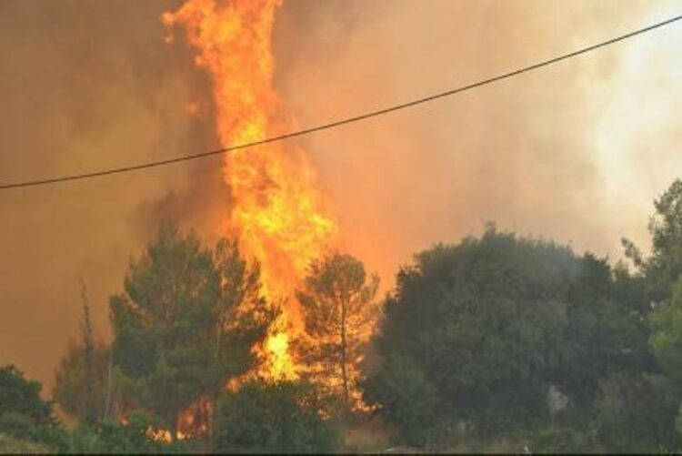 Πυρκαγιά στο Σιδηρόκαστρο Λακωνίας