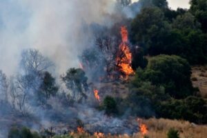 Μεγάλη φωτιά σε εξέλιξη στα Στύρα Ευβοίας