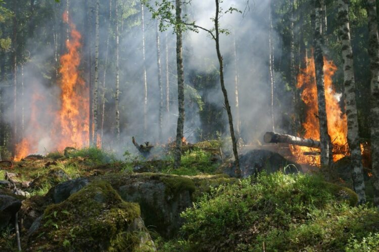 Πολύ υψηλός κίνδυνος πυρκαγιάς για 7 περιφέρειες της χώρας
