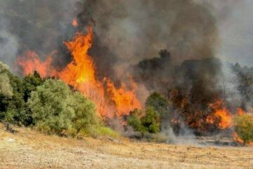 Σάμος: Επιμένει η φωτιά στους Βουρλιώτες - Εκκενώθηκαν ξενοδοχεία