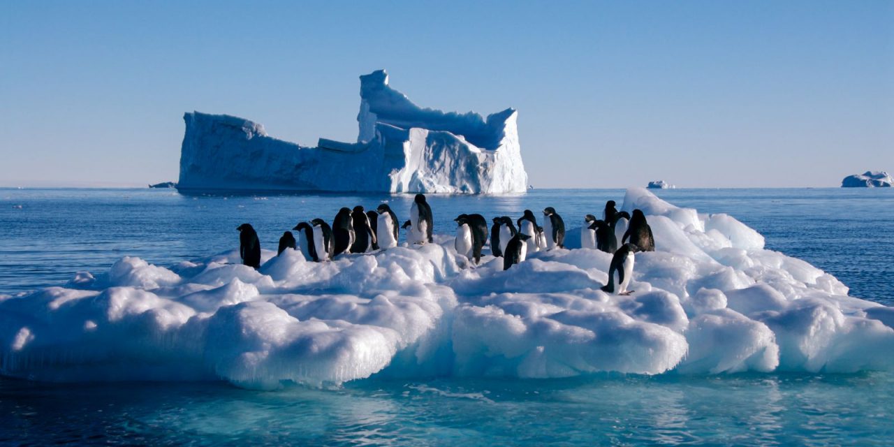 ΟΗΕ: Ρεκόρ ζέστης στην Ανταρκτική 18,3 βαθμών Κελσίου