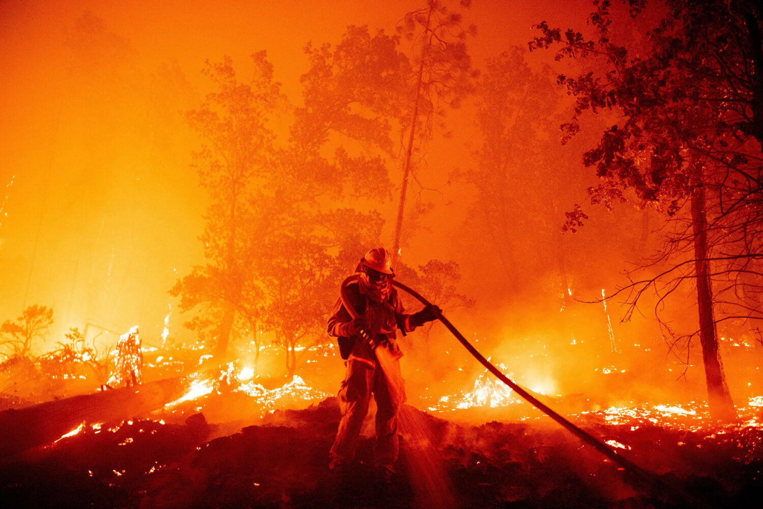 Greenpeace: Μύθοι και αλήθειες για τις πυρκαγιές