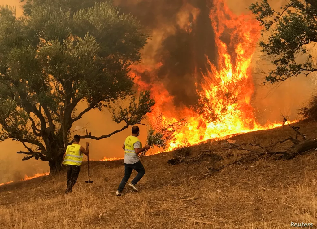 Αλγερία: Σχεδόν 90 οι νεκροί