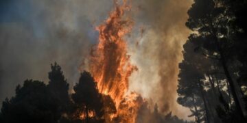 Ελεύθερος αφέθηκε ο 14χρονος που κατηγορείται για τους εμπρησμούς στoν Θεολόγο 