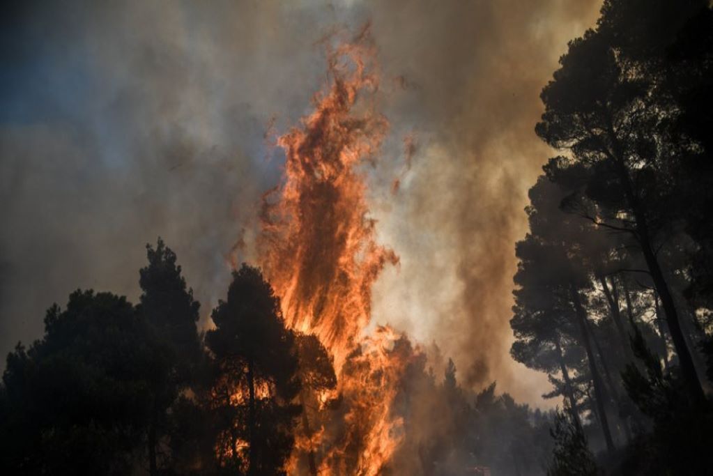 Ελεύθερος αφέθηκε ο 14χρονος που κατηγορείται για τους εμπρησμούς στoν Θεολόγο 