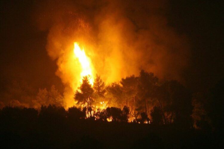 Εύβοια: Μεγάλη φωτιά στον Φηγιά - Εκκενώθηκαν δύο οικισμοί