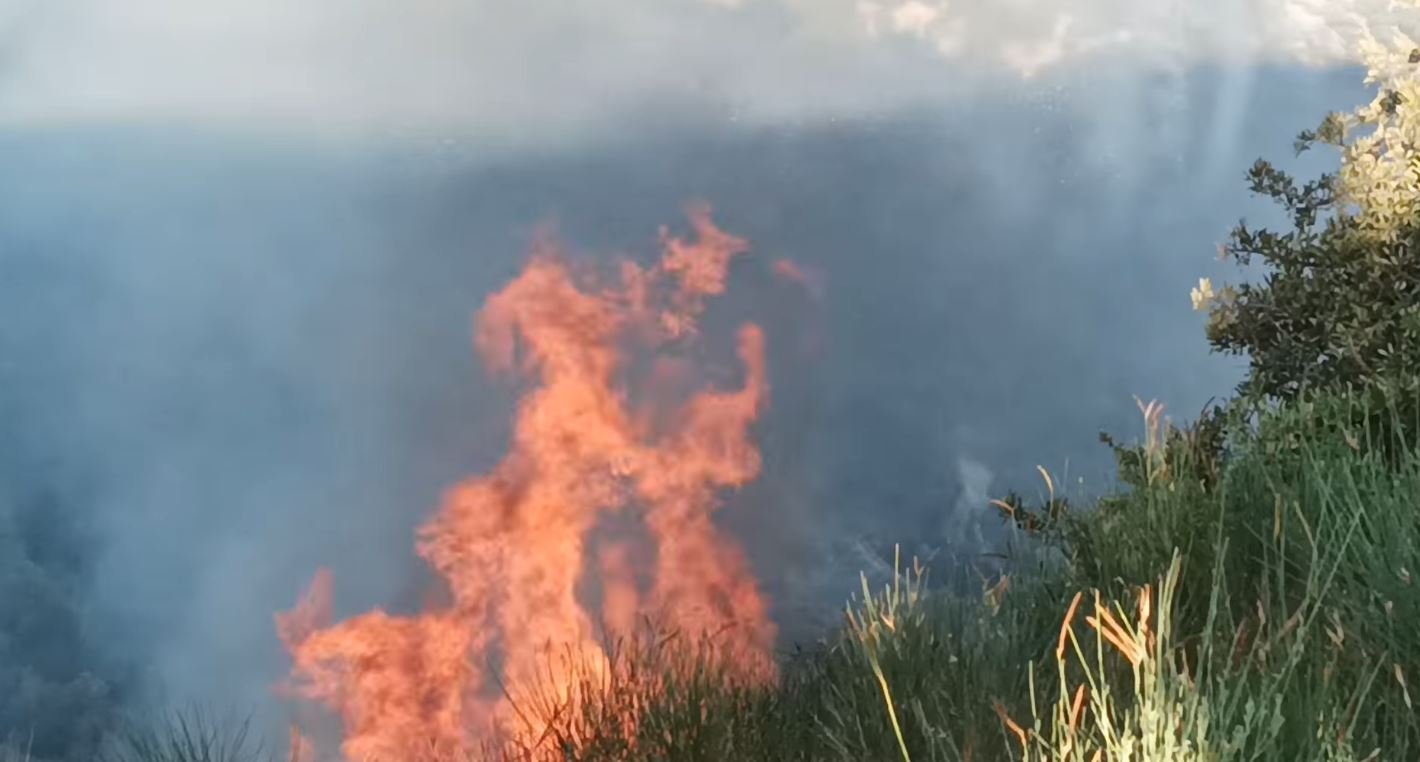 Πυρκαγιά σε δασική έκταση στην Κακιά Θάλασσα Κερατέας