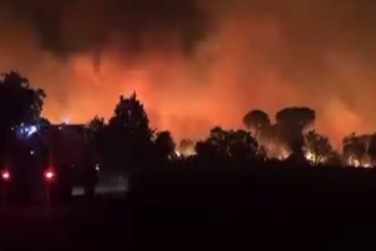 Εκατοντάδες πυροσβέστες προσπαθούν να ελέγξουν φωτιά στη νότια Γαλλία