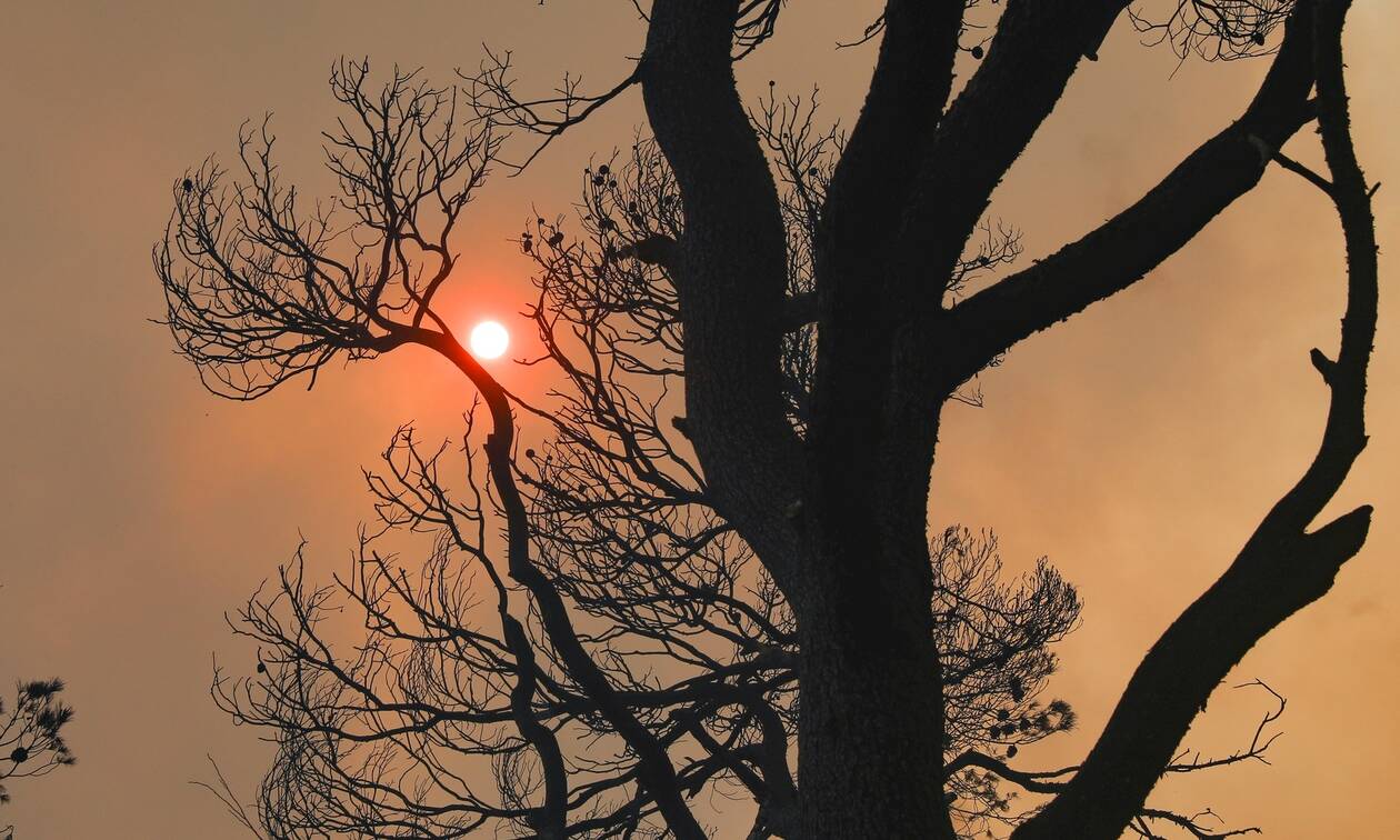 Φωτιές 2021: 500% αυξήθηκε η καμένη έκταση στη χώρα