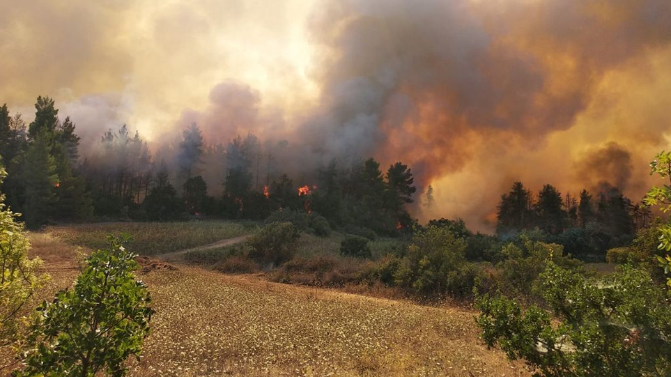 Φωτιά Αρκαδία: Μεγάλη αναζοπύρωση- Οι φλόγες στο Νεοχώρι