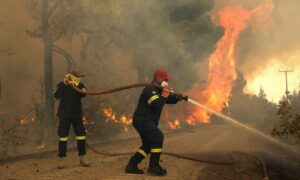 Nέα φωτιά στην Εύβοια - Καίγεται δάσος στον Μίστρο