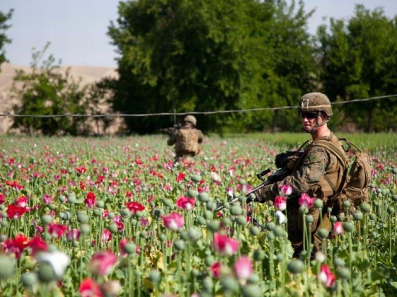 Αφγανιστάν: Οι Ταλιμπάν απαγορεύουν την παραγωγή οπίου και οι τιμές εκτοξεύονται 