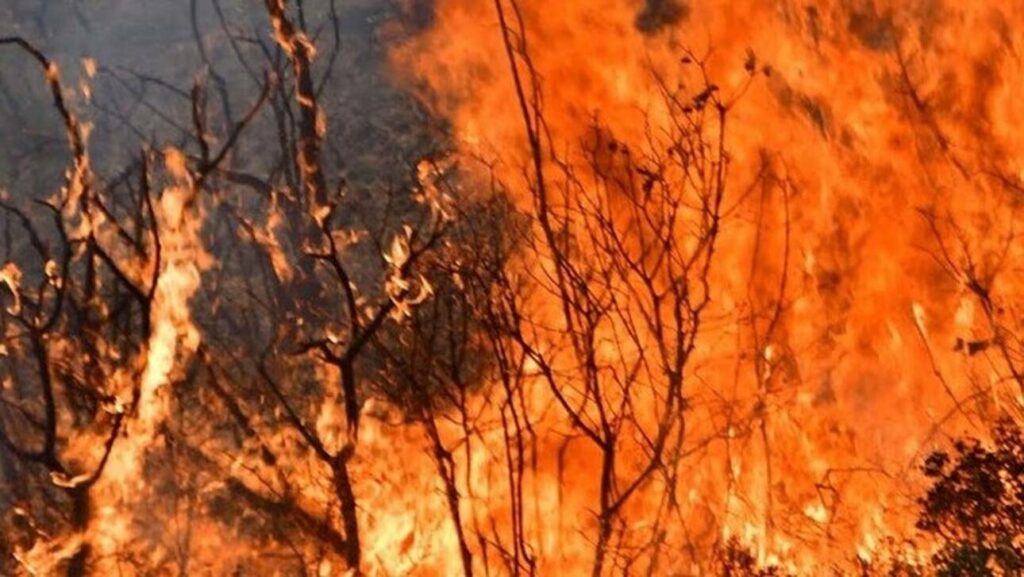 Ηλεία: Μήνυμα από το 112 να εκκενωθούν οι περιοχές Δούκα και Μήλιες