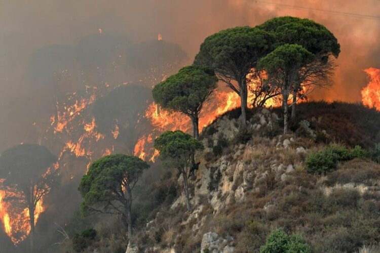 Ιταλία: Κύμα καύσωνα με θερμοκρασίες έως 50 βαθμούς και πυρκαγιές