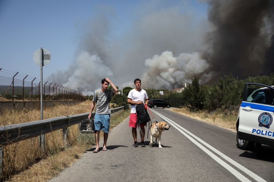 Ανοίγει η πλατφόρμα για τις αποζημιώσεις των πυρόπληκτων